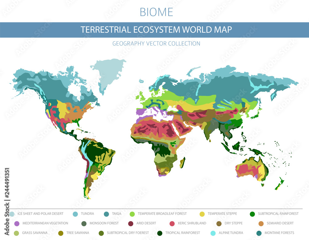 Terrestrial ecosystem world map. Biome. World climatic zone infographic design