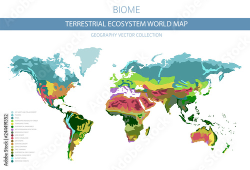 Terrestrial ecosystem world map. Biome. World climatic zone infographic design photo