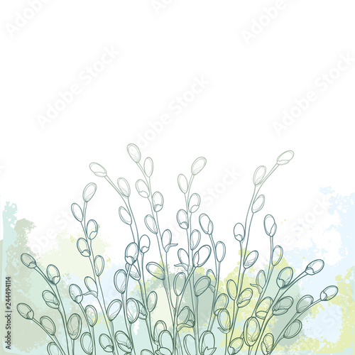 Vector bouquet with outline Willow twigs in pastel blue and green on the textured white background. Branch with blooming pussy Willow in contour style for Easter springtime design.