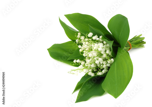 lilies of the valley isolated on white background