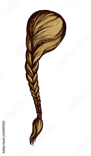 Long braid. Vector drawing