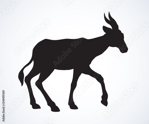 Antelope. Vector illustration