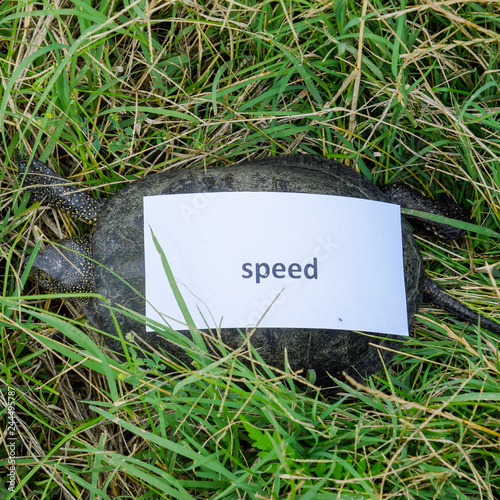 A bad internet symbol. Low download speed. Slow internet. Ordina photo