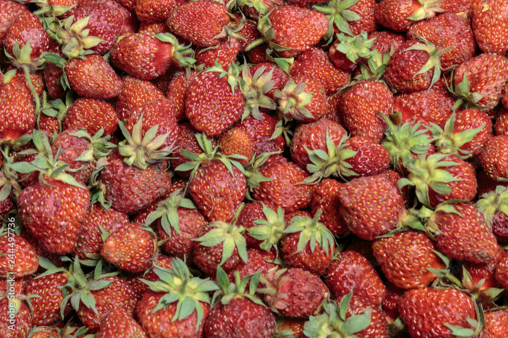 A lot of fresh red strawberry closeup. Concept of healthy vegan food. A lot of fresh red strawberry closeup. Concept of healthy vegan food.