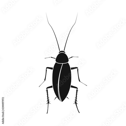 Vector illustration of insect and fly sign. Set of insect and element vector icon for stock.