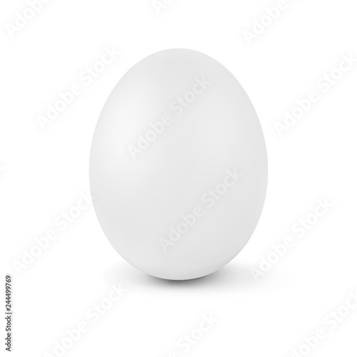 Realistic vector white egg