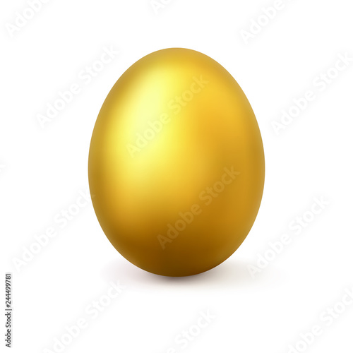 Realistic vector golden egg
