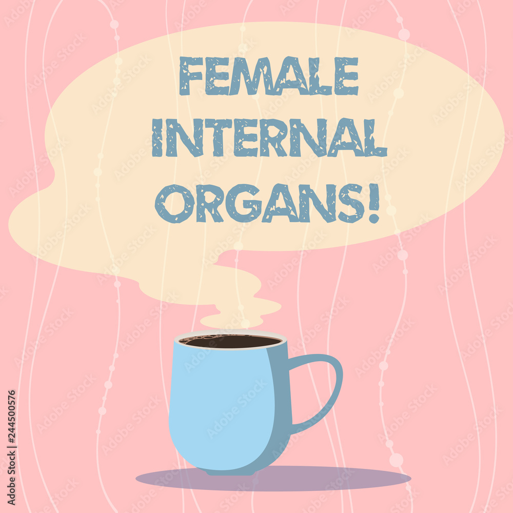 Word writing text Female Internal Organs. Business concept for The internal genital structures of the Mug photo Cup of Hot Coffee with Blank Color Speech Bubble as Steam icon Word writing text Female Internal Organs. Business concept for The internal genital structures of the Mug photo Cup of Hot Coffee with Blank Color Speech Bubble as Steam icon