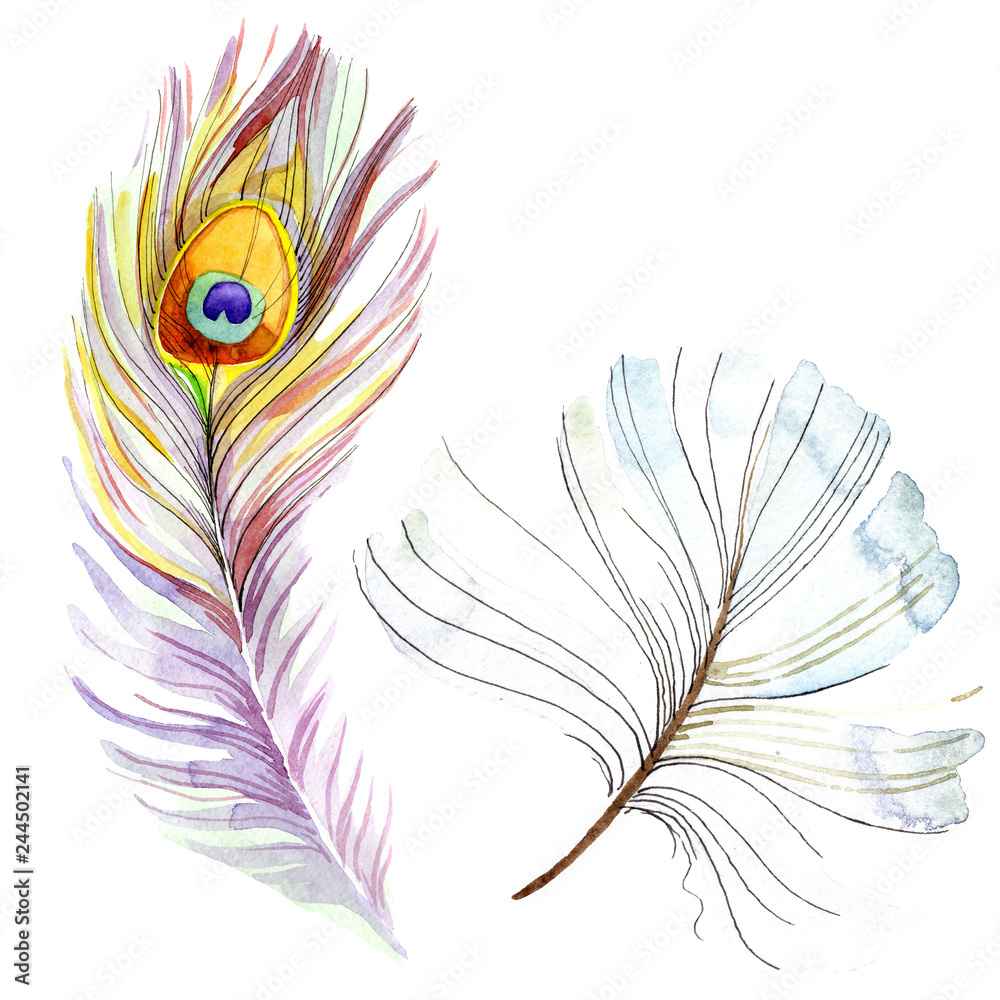 Obraz premium Colorful bird feather from wing isolated. Watercolor background illustration set. Watercolour drawing fashion aquarelle.