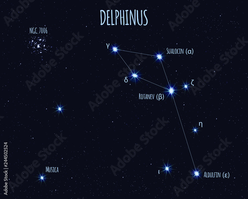 Delphinus (The Dolphin) constellation, vector illustration with the names of basic stars against the starry sky 