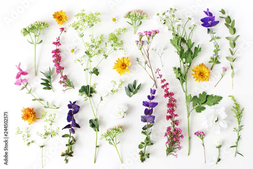 Fototapeta Naklejka Na Ścianę i Meble -  Summer botanical pattern. Floral composition of fewerfew, erica, sage and chrysanthemum flowers and green alchemilla plants on white wooden background. Styled stock photo. Flat lay, top view.