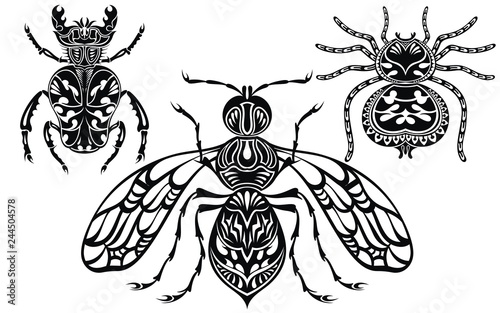 Insect illustration. Tattoo insects. Spider