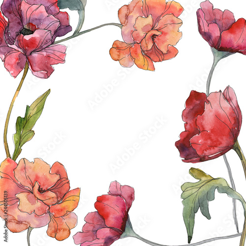Red poppy floral botanical flower. Watercolor background illustration set. Frame border ornament square.