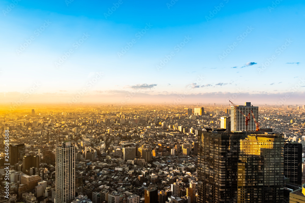 Obraz premium 東京風景 夕暮れ時