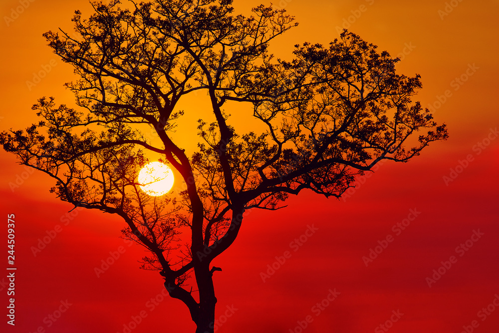 Sunset at Kruger Park South Africa 
