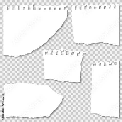 Torn paper set, isolated.