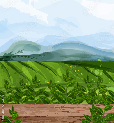 Green fields watercolor background Vector. Nature mountains views. Organic ec...