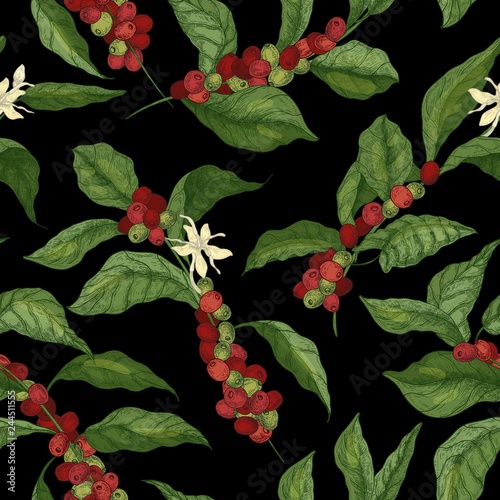 Botanical seamless pattern with coffea or coffee tree branches, flowers, leaves and ripe fruits or berries on black background. Natural vector illustration in elegant antique style for wrapping paper.