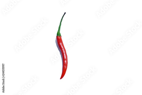 A red hot tropical chilli on white isolated background 