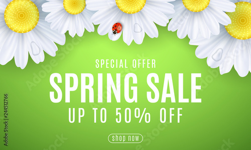 Spring sale banner. Ladybug creeps on the flowers. Realistic daisies. Seasonal design for your business. Water drops. Special offer. Gift card. Vector illustration