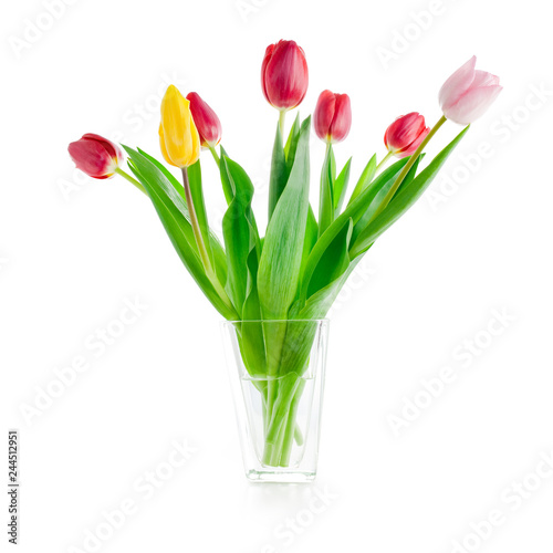 bouquet of fresh tulip flowers in glass vase, isolated on white background with clipping path included #244512951