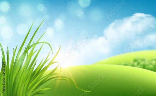 Frash Spring green grass background. Vector illustration