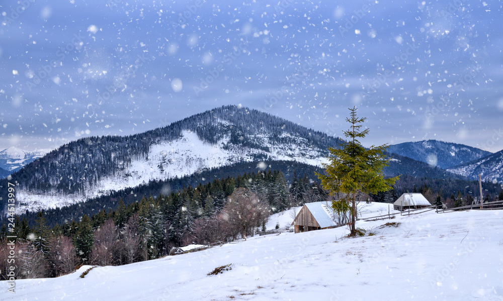 Beautiful mountain landscape. Winter landscape with falling snow. Location Carpathian, Ukraine, Europe