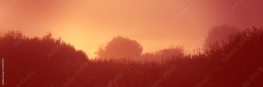Dawn in the hilly terrain, meadow landscape countryside. Web banner for design