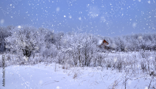 Beautiful winter landscape with falling snow