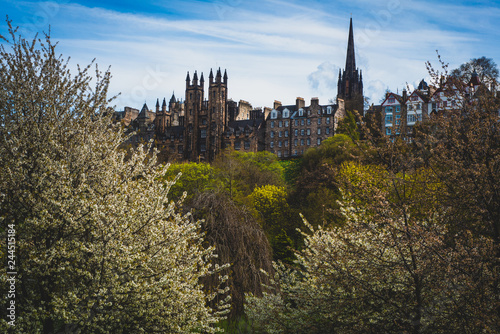 View of The Royal Mile in Spring  Edinburgh  Scotland  UK