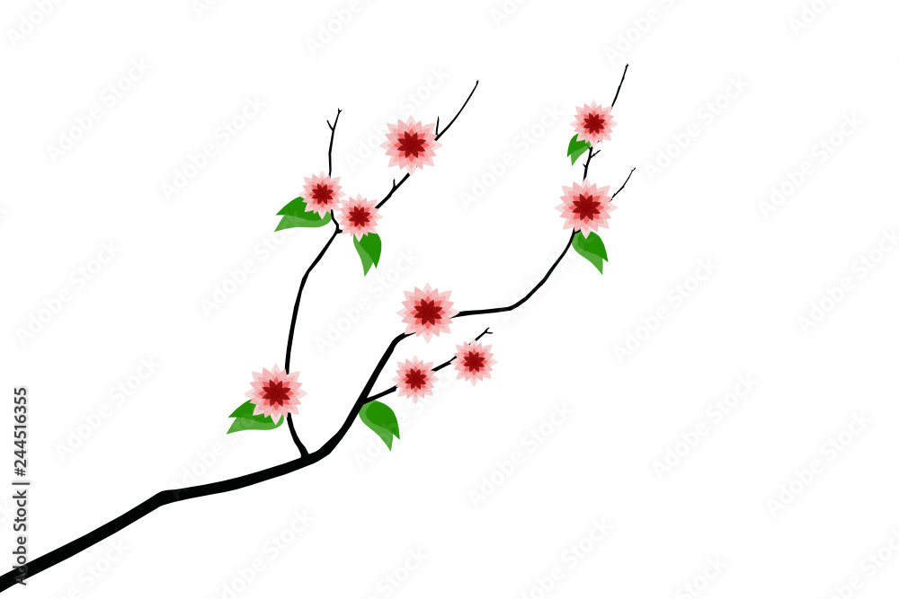 Branch with flowers - Japanese Sakura