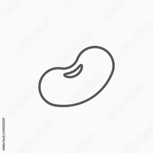 kidney bean icon