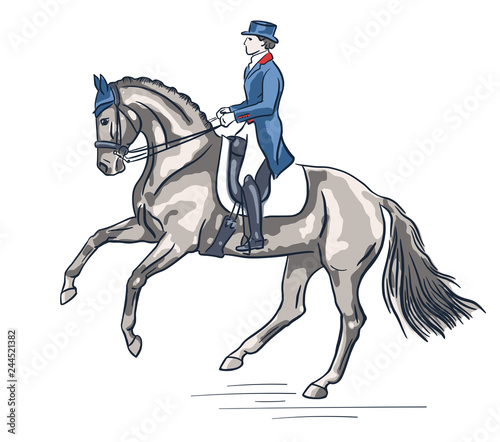Equestrian, dressage. Vector illustration of a rider on a horse.
