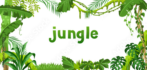 Background with jungle plants.