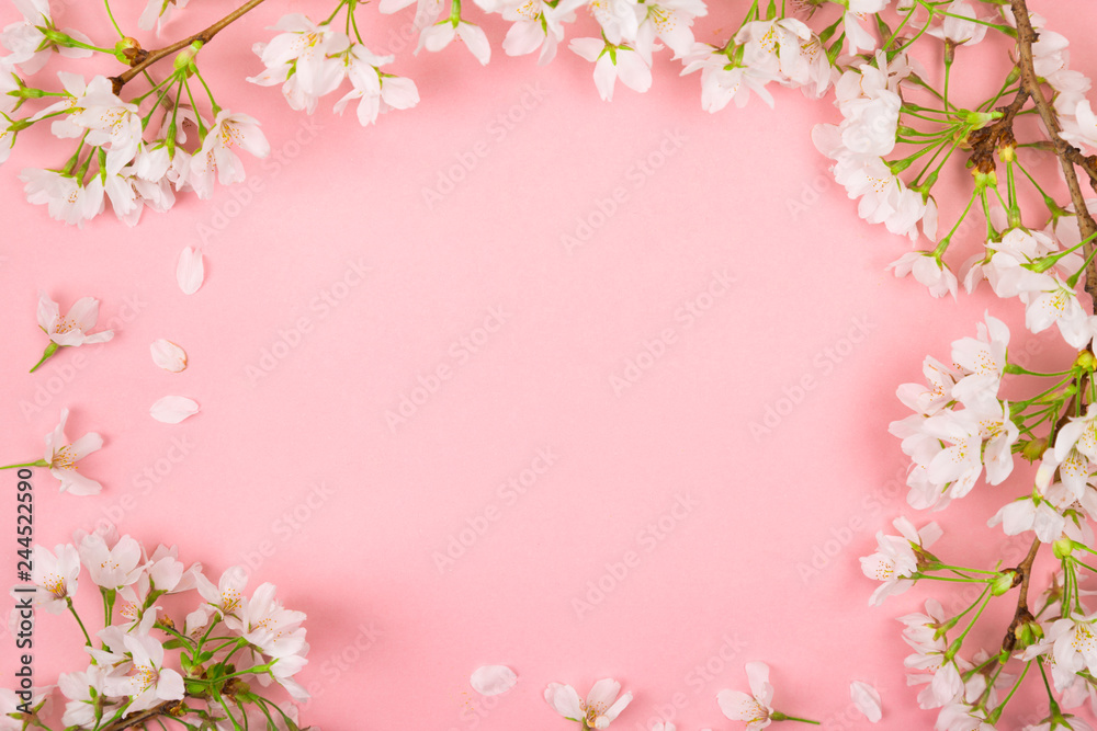 Pink springtime background with cherry blossom