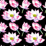 blossoms and flowers of lotus watercolor seamless pattern