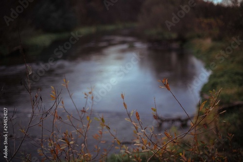 A small river overgrown with grass. Autumn landscape with water