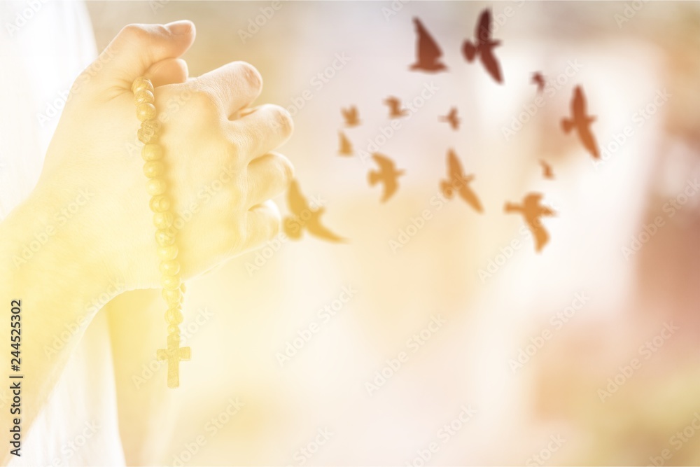 Obraz premium Woman praying and free birds enjoying nature on sunset