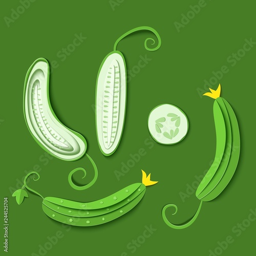 Set of paper cut green cucumber. Vector paper craft design in the form of ripe cucumber whole and slice. Vector illustration. Paper applique art style vegetable. Origami concept
