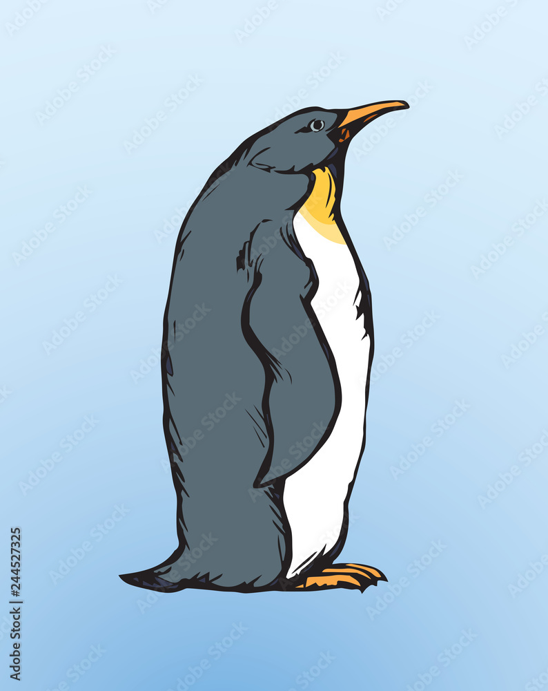 Fototapeta premium Penguin. Vector drawing