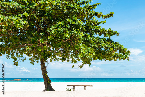 Bench under a tree on a beautiful white sand tropical beach in Bintan Island, Indonesia
