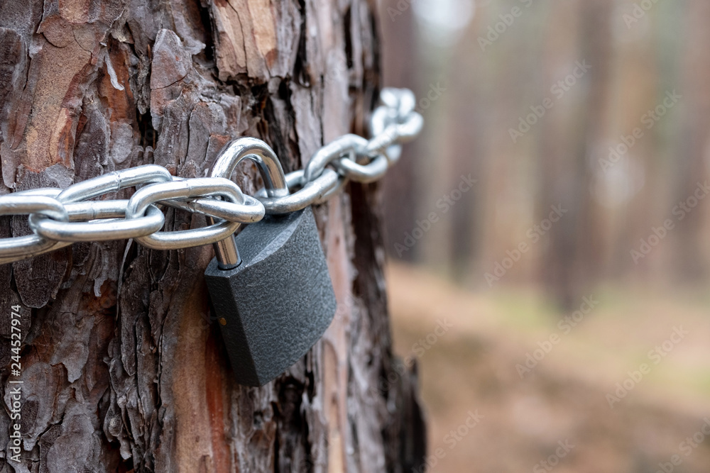 chain and lock side view hanging on the tree chain and lock side view hanging on the tree