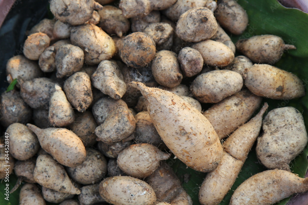 Top view wild yams boiled at Fresh market in Thailand Top view wild yams boiled at Fresh market in Thailand