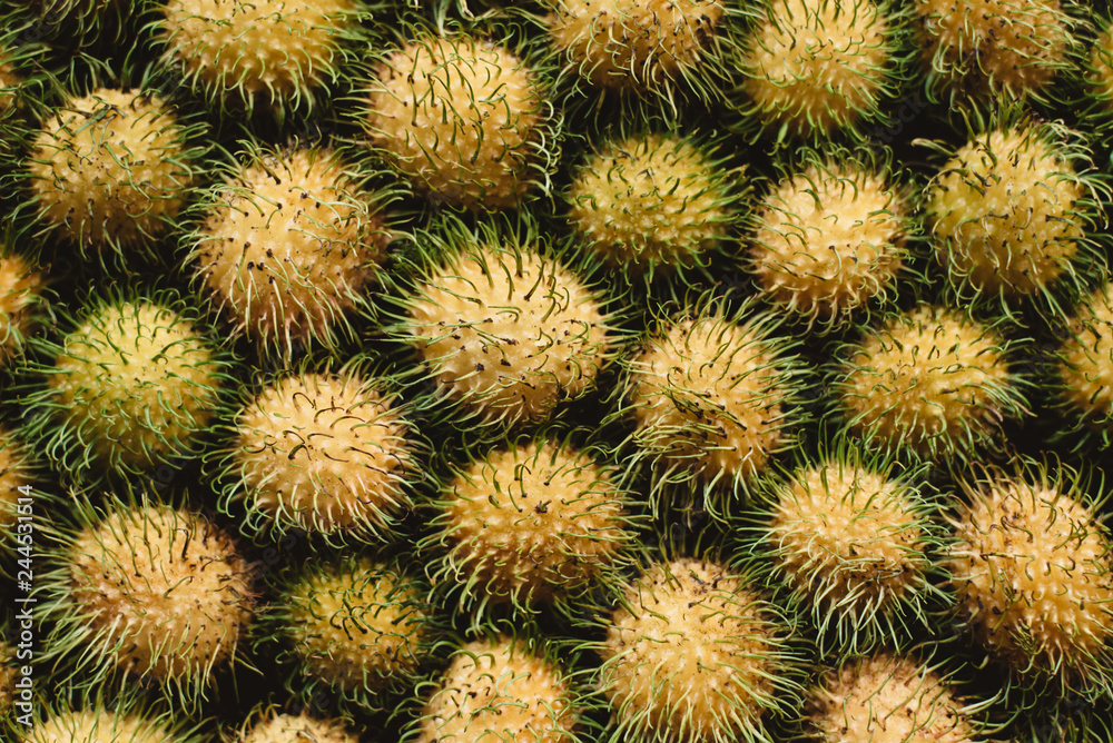 top view of yellow rambutan. Rambutan is a local fruit on malaysia, native to the Malay-Indonesian region, and other regions of tropical Southeast Asia