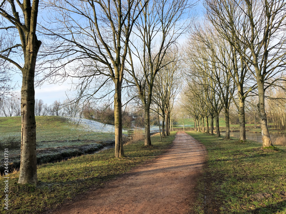 Path through the Mayor Rasterhoffpark in Sneek