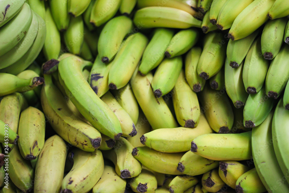 Pile of green bananas on the farmers market or shop, organic food, fruit background