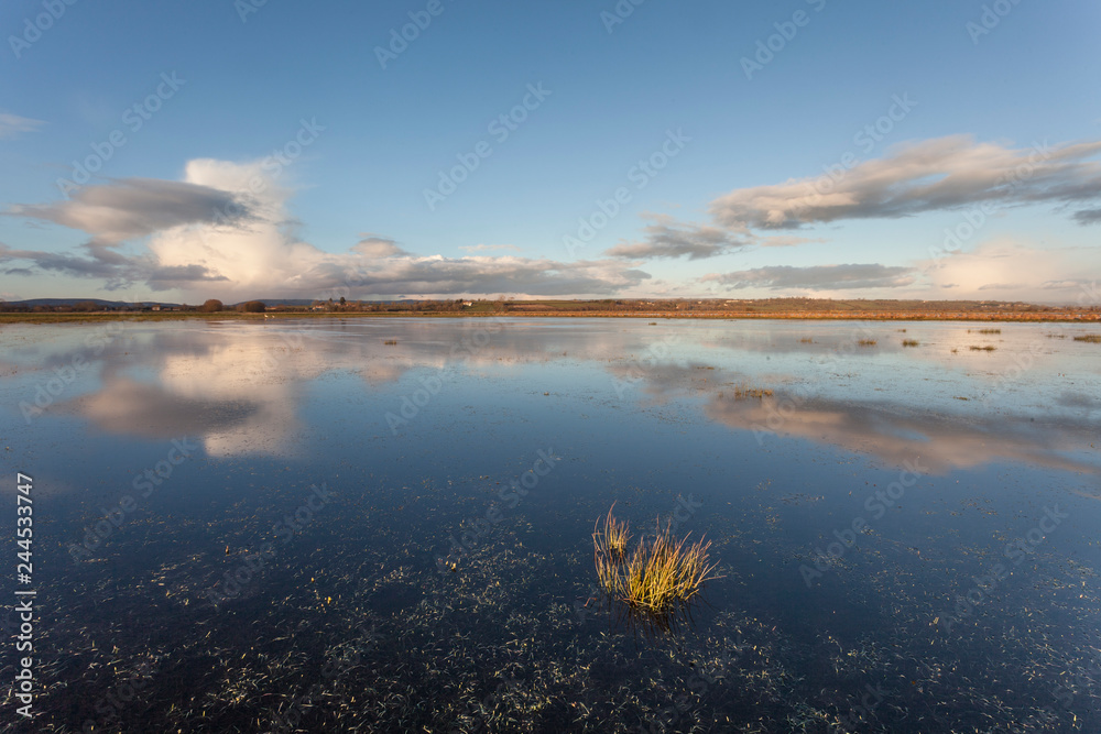 Flooded Field on the Somerset Levels