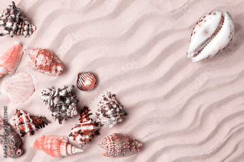Fototapeta Naklejka Na Ścianę i Meble -  Marine summer postcard. Seashells border on sand on the beach, color living coral