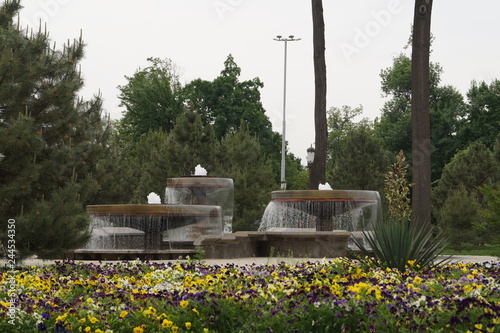 lawns and squares of Tashkent