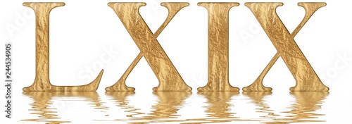 Roman numeral LXIX, novem et sexaginta, 69, sixty nine, reflected on the water surface, isolated on  white, 3d render photo